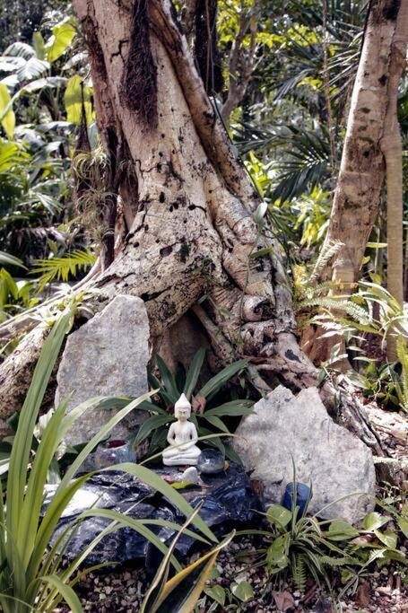 Zen Canto Tuuch :: May The Jungle Be With You Сasa de vacaciones