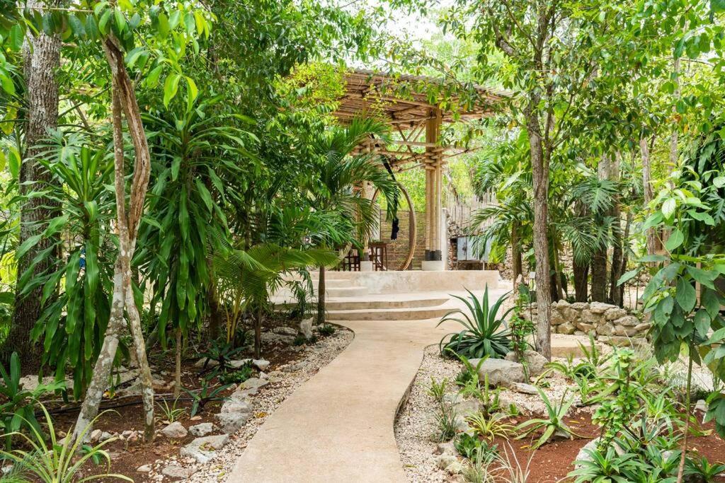 Сasa de vacaciones Zen Canto Tuuch :: May The Jungle Be With You