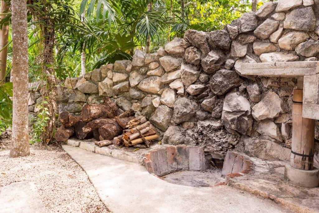 Сasa de vacaciones Zen Canto Tuuch :: May The Jungle Be With You *