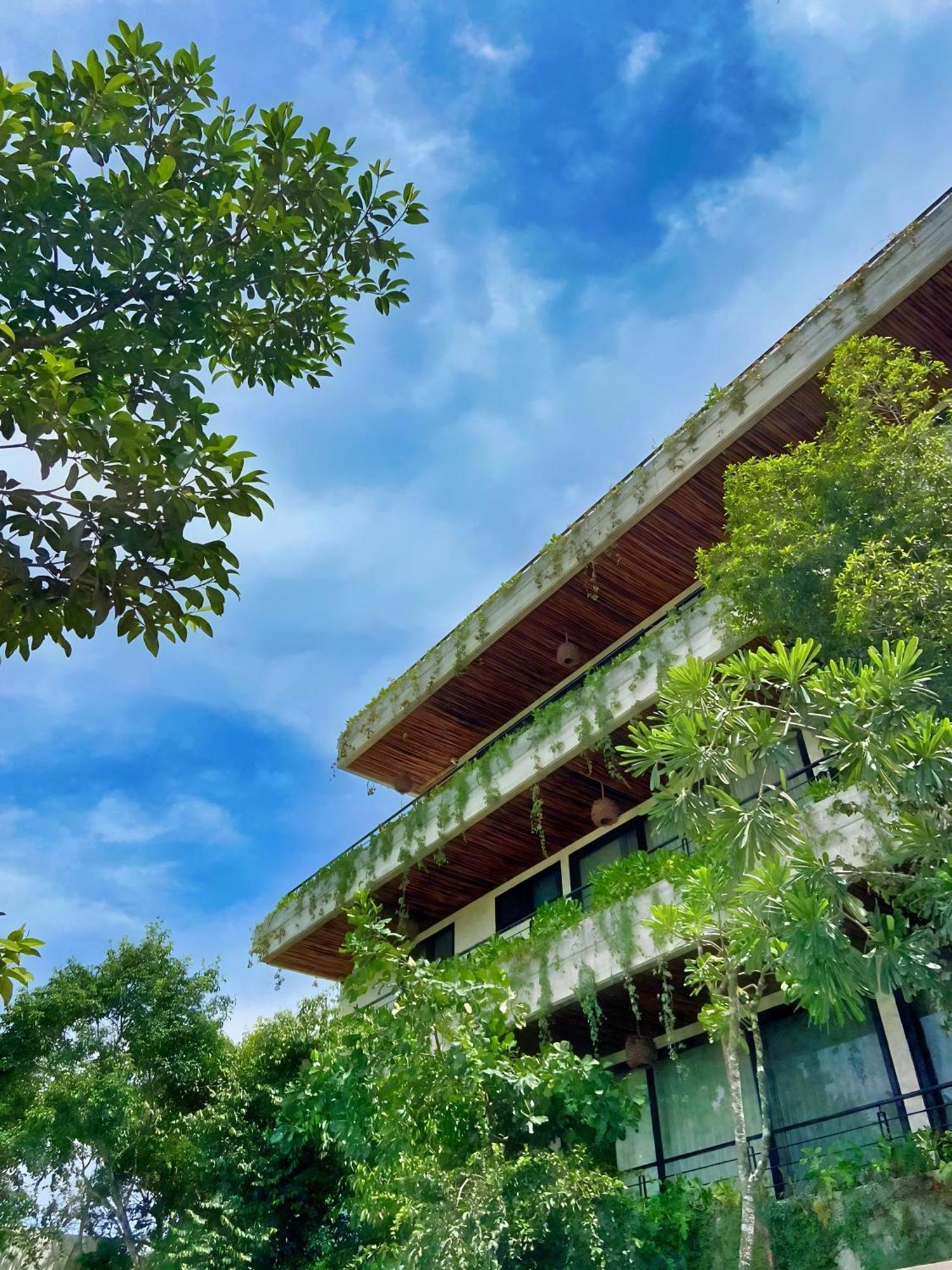 5th Avenue Near Zamna Kuc2 * Tulum