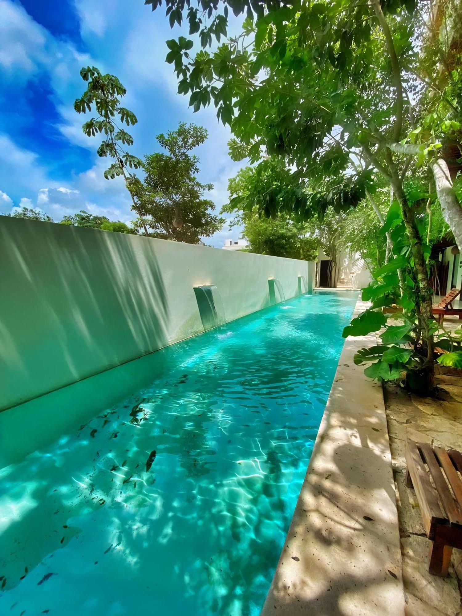 Apartamento 5th Avenue Near Zamna Kuc2 *