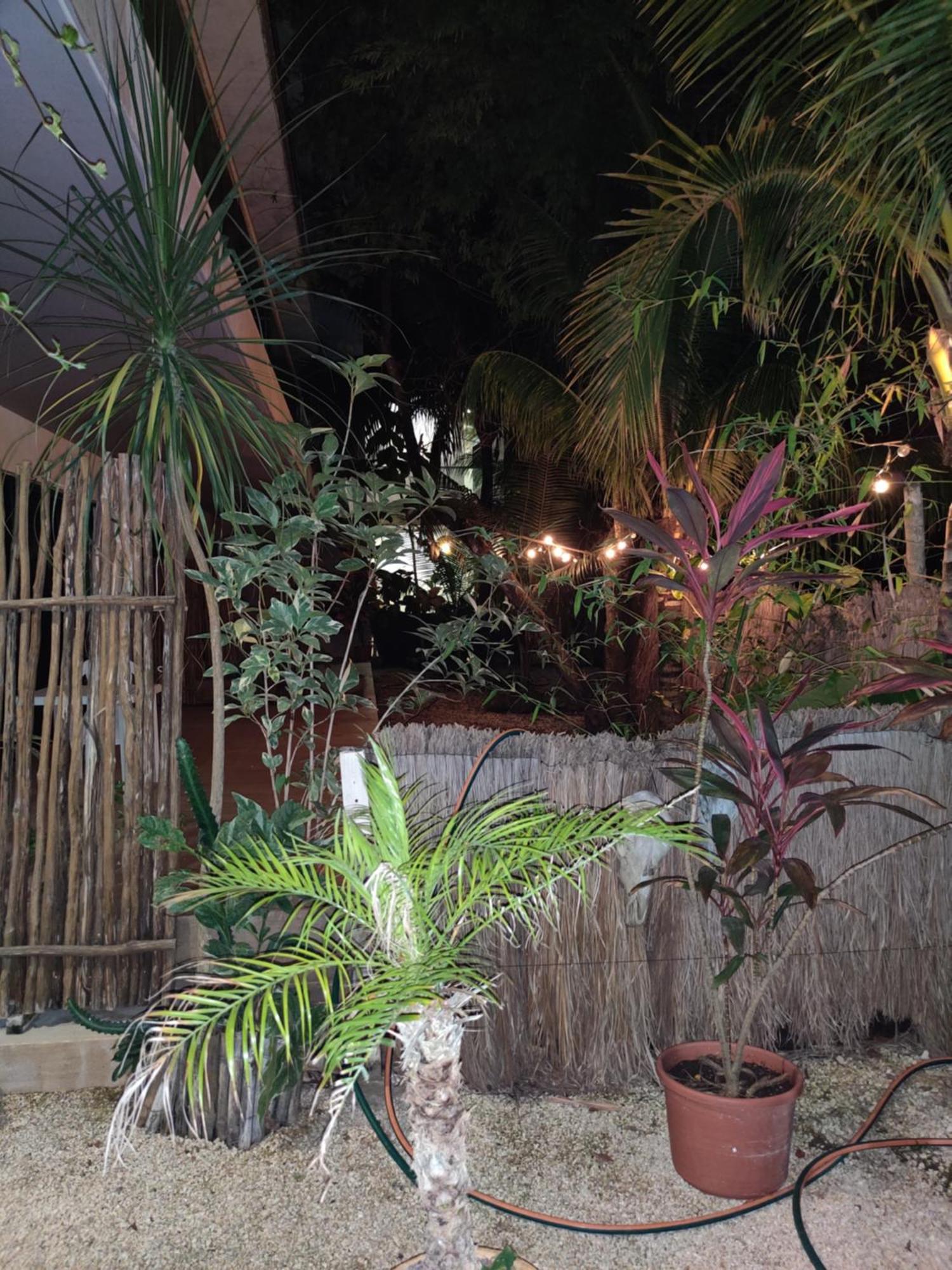 Apartamento Cocomobay, Fully Furnished In