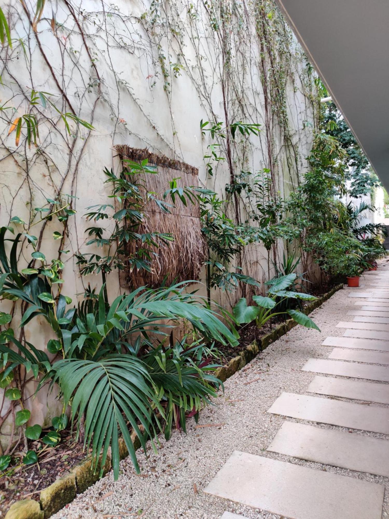 Cocomobay, Fully Furnished In Apartamento Tulum