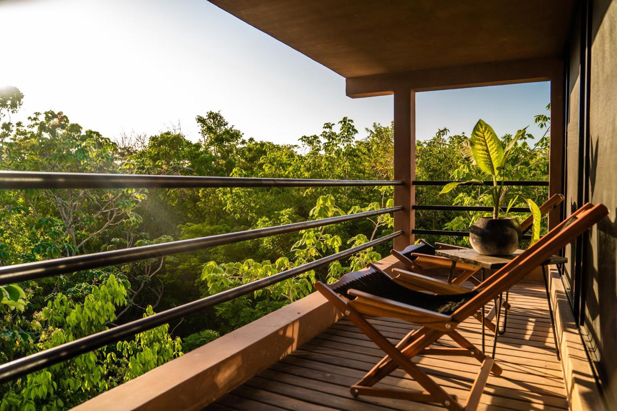 Casa Tira - Your Luxury Jungle Mansion In *