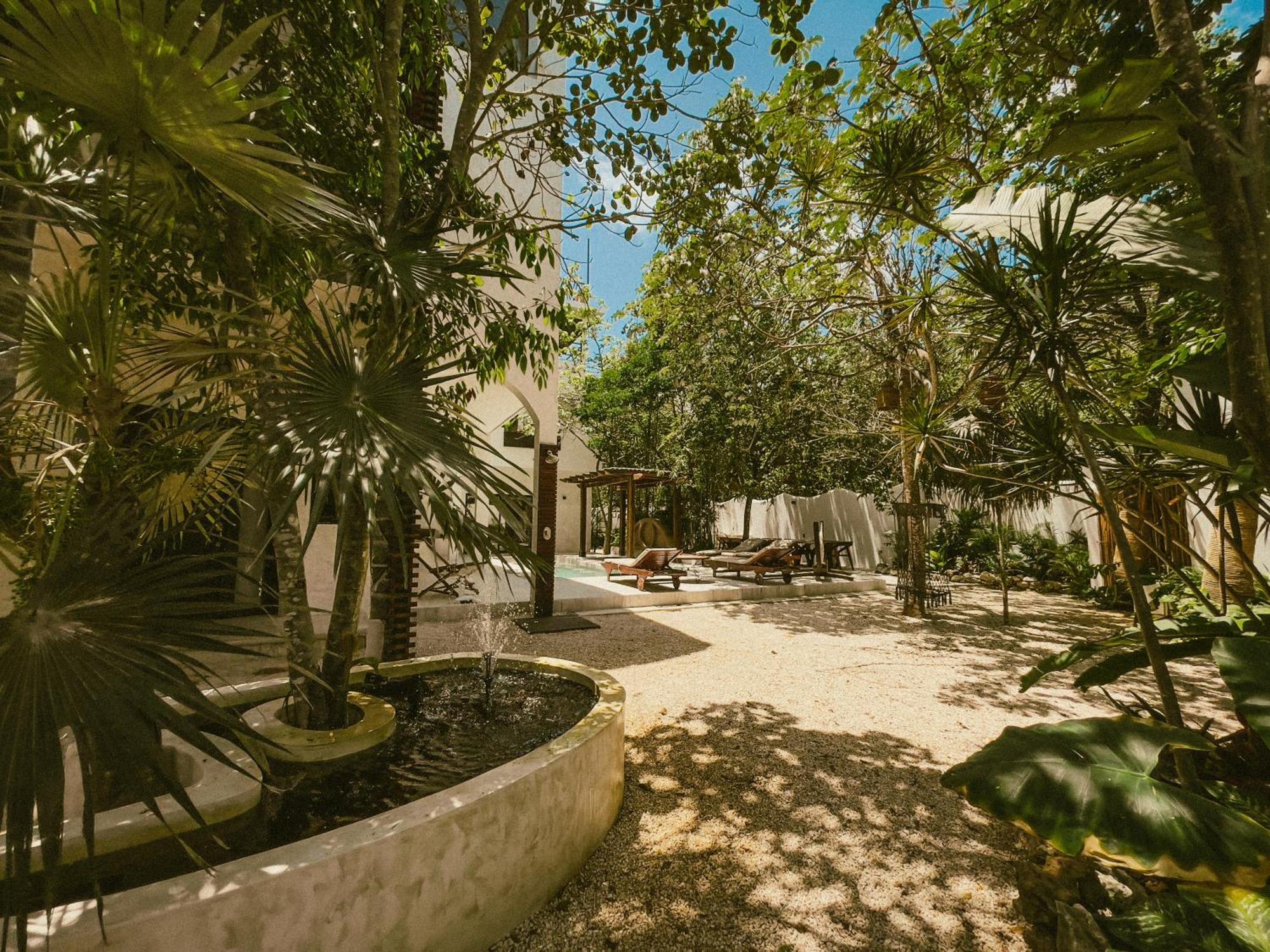 Casa Tira - Your Luxury Jungle Mansion In *