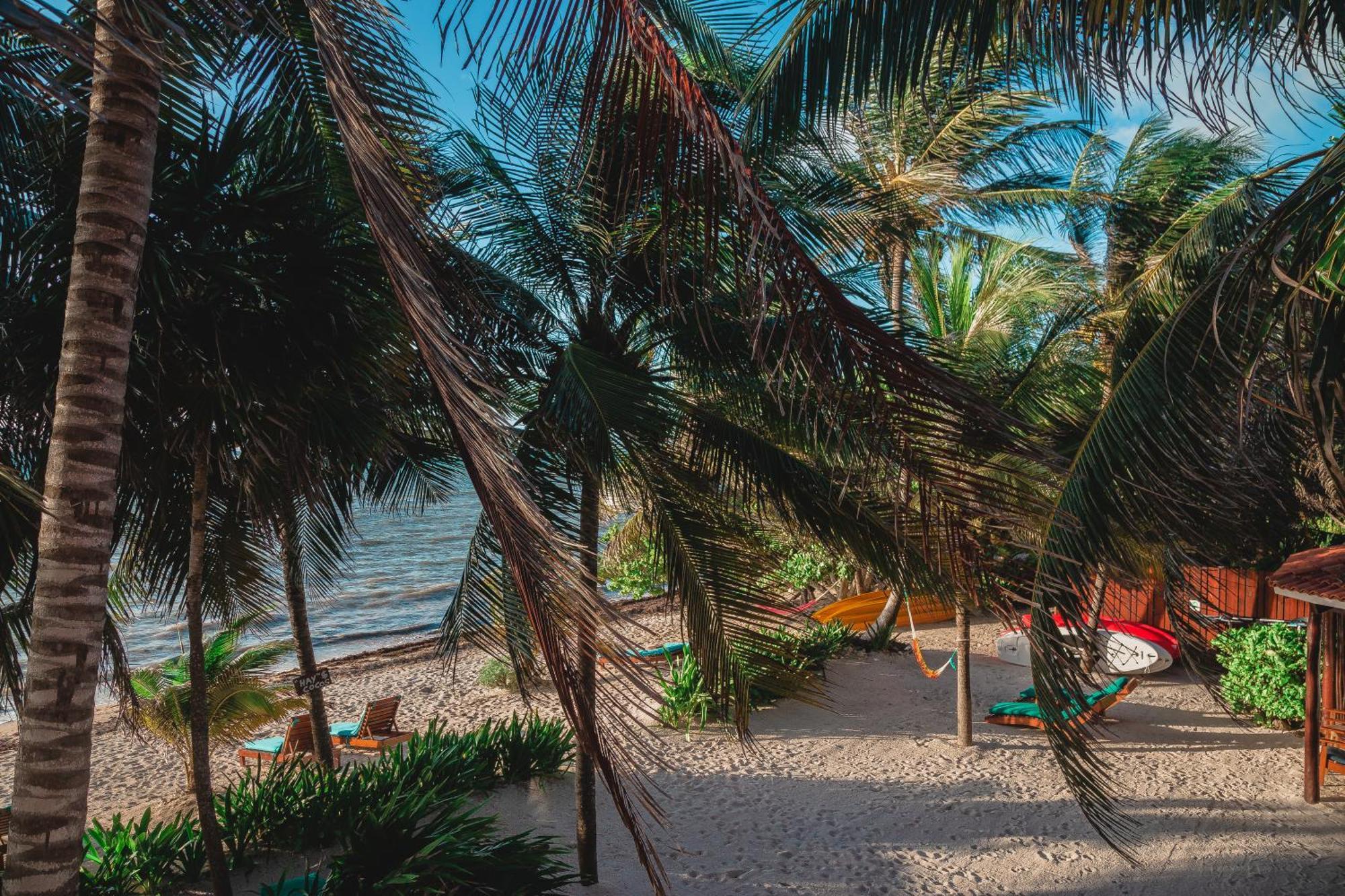 Bed and breakfast Casa Colibrí Tankah 2*