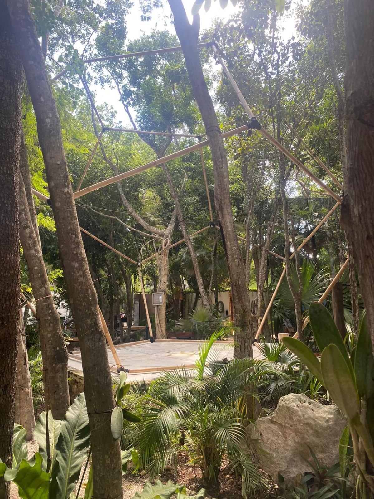Bufo Alvarius Hotel Tulum