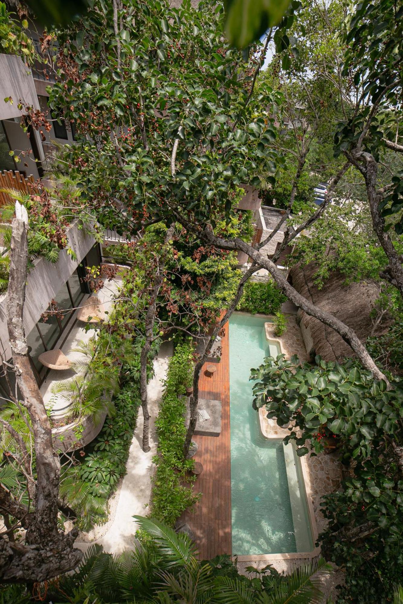 Zereno Club Access Tulum