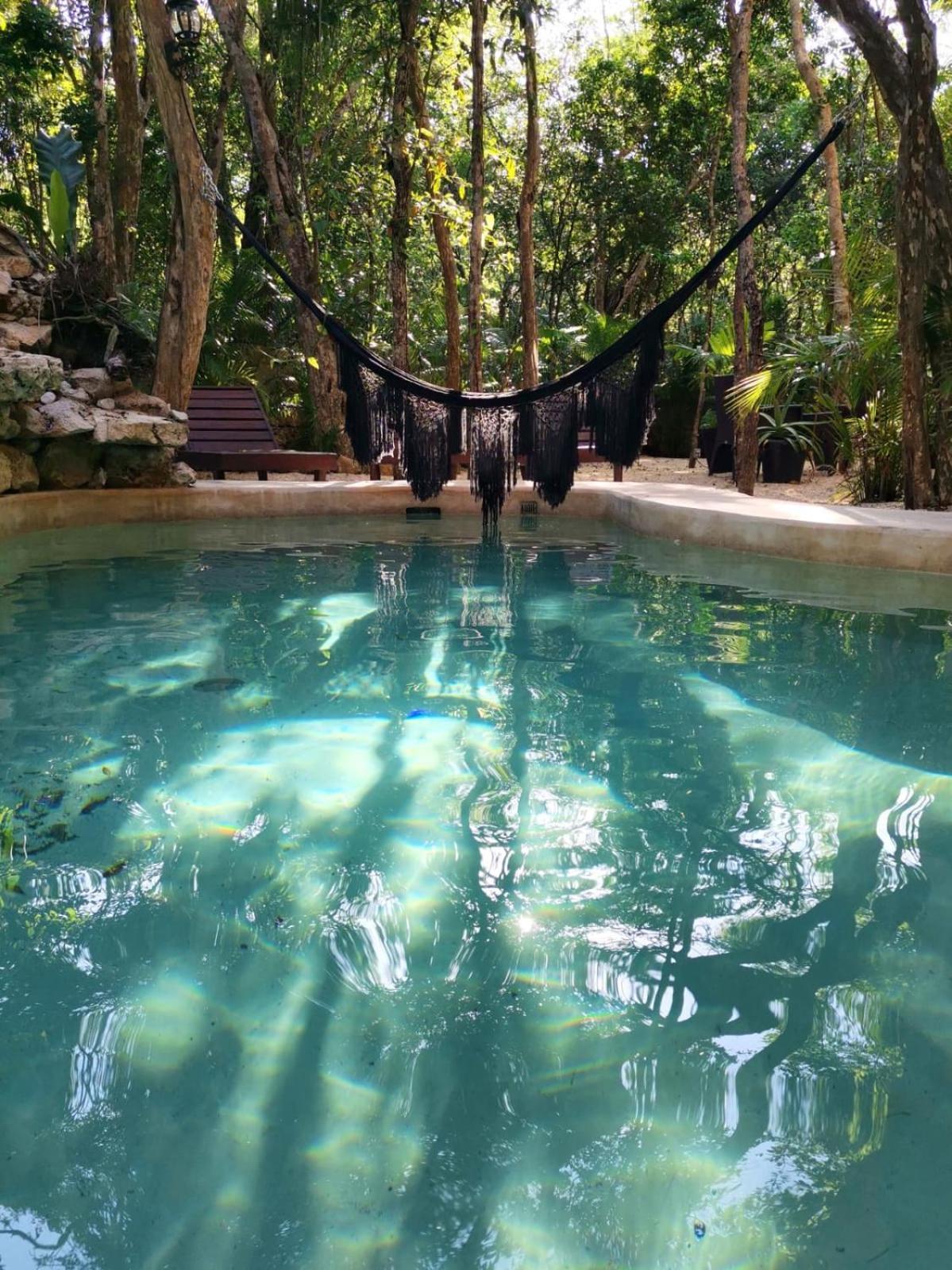 Apartamento Agua & Selva Luxury Jungle Loft