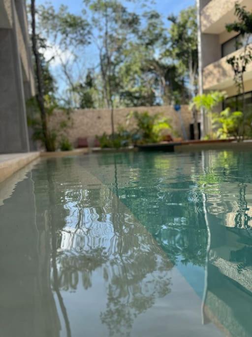Increible Departamento Con Acceso A Piscina