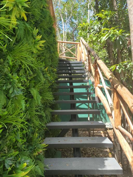 Reflective Jungle Treehouse With Plunge Pool