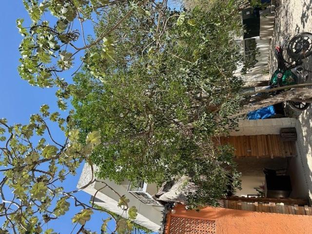 Apartamento W/plunge Pool & Kitchen Tulum