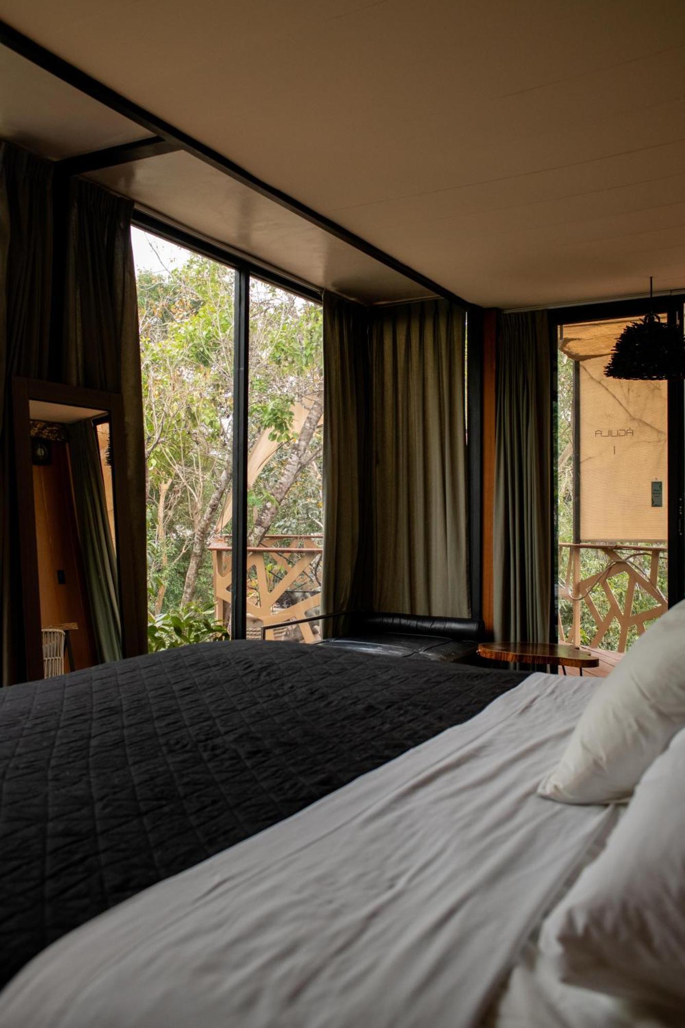Hotel Bufo Alvarius 2*