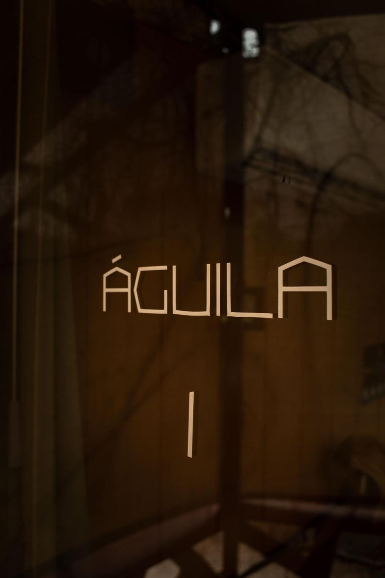 Bufo Alvarius Hotel Tulum