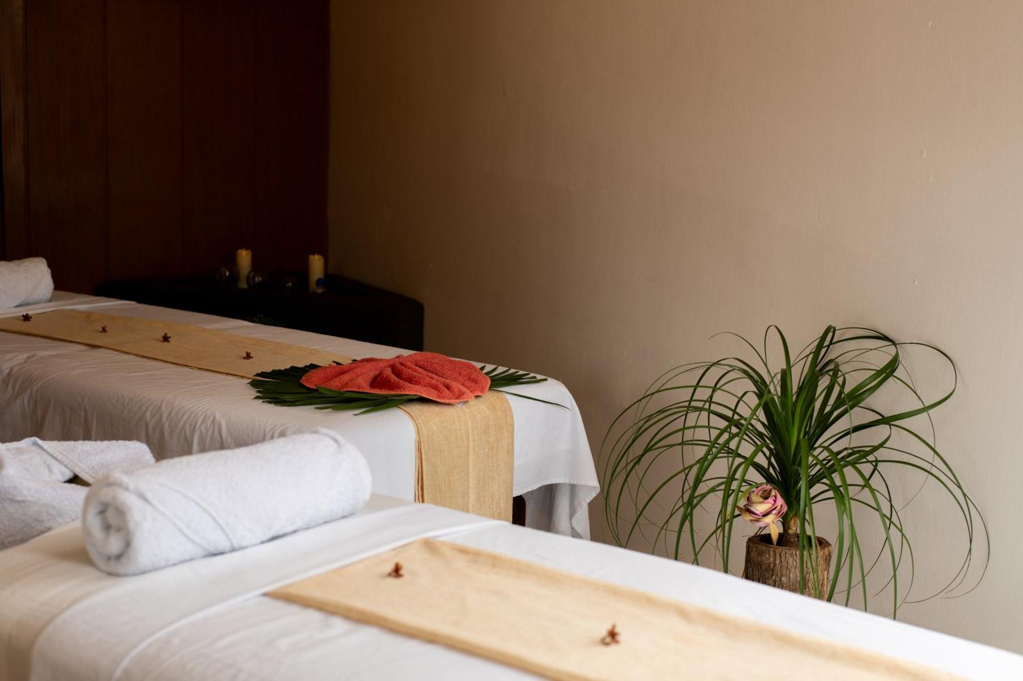 Bufo Alvarius Hotel