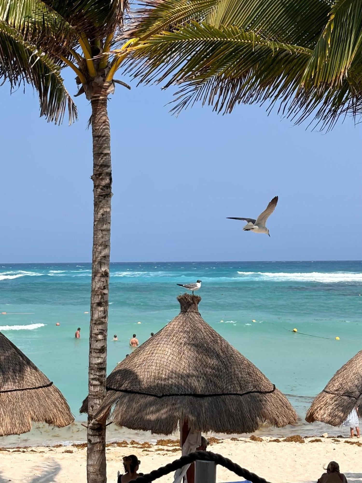 Golf & Haven * Tulum