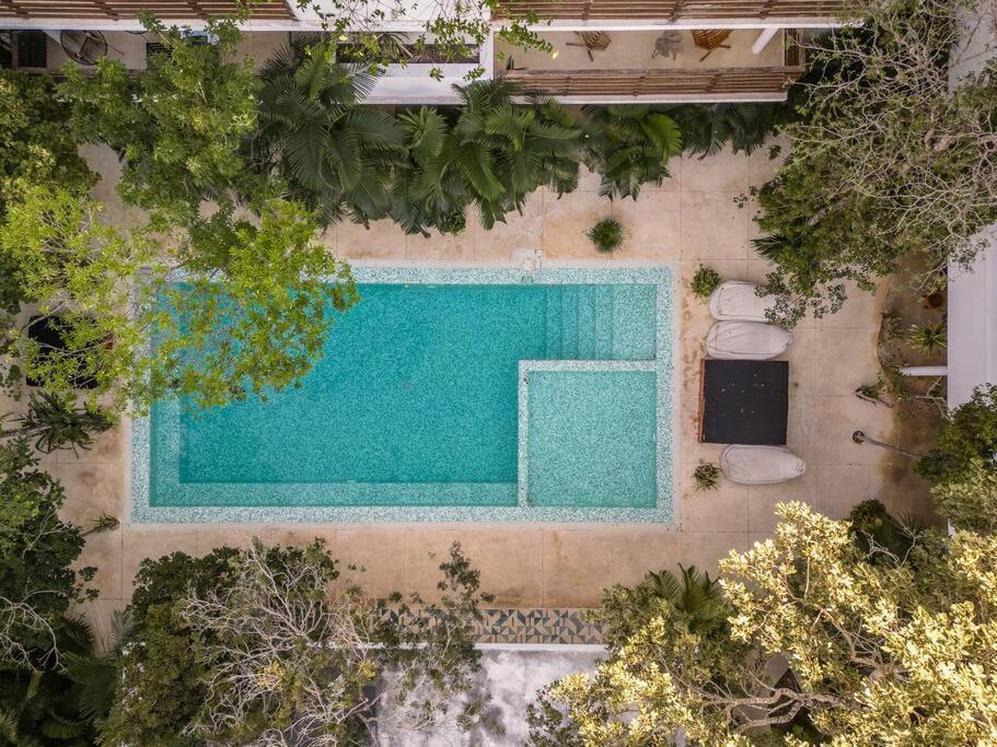 Apartamento In Tulum, Pool, Jacuzzi, 3 Beds Tulum