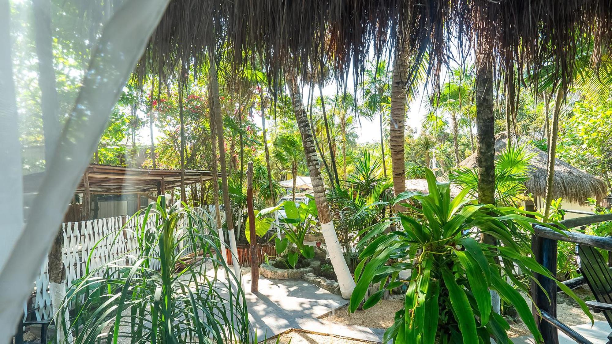 Chancabañita 3*