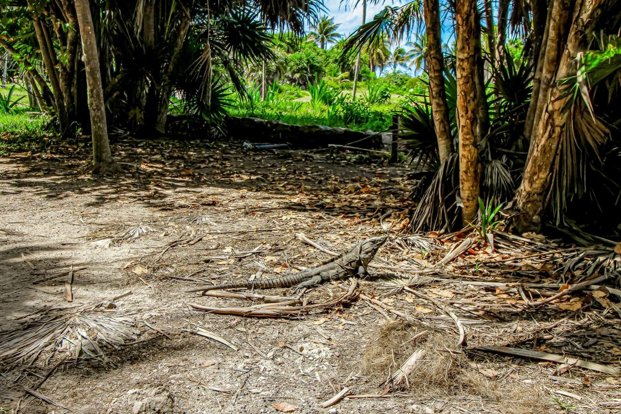 Aldea Zama Tulum