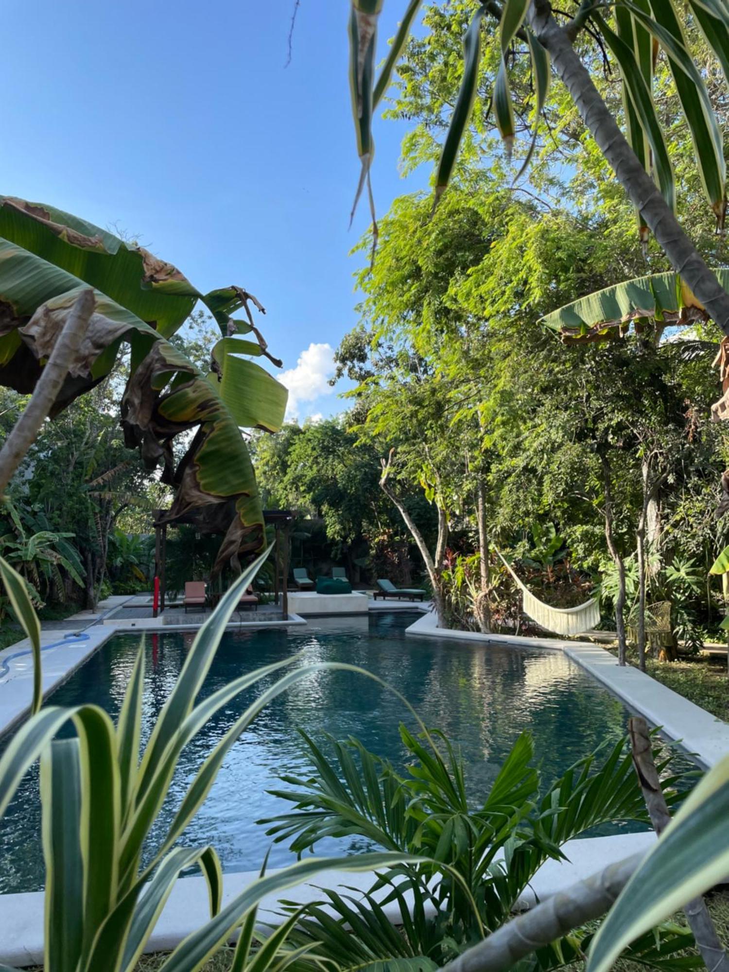 Panacea Apartahotel Tulum