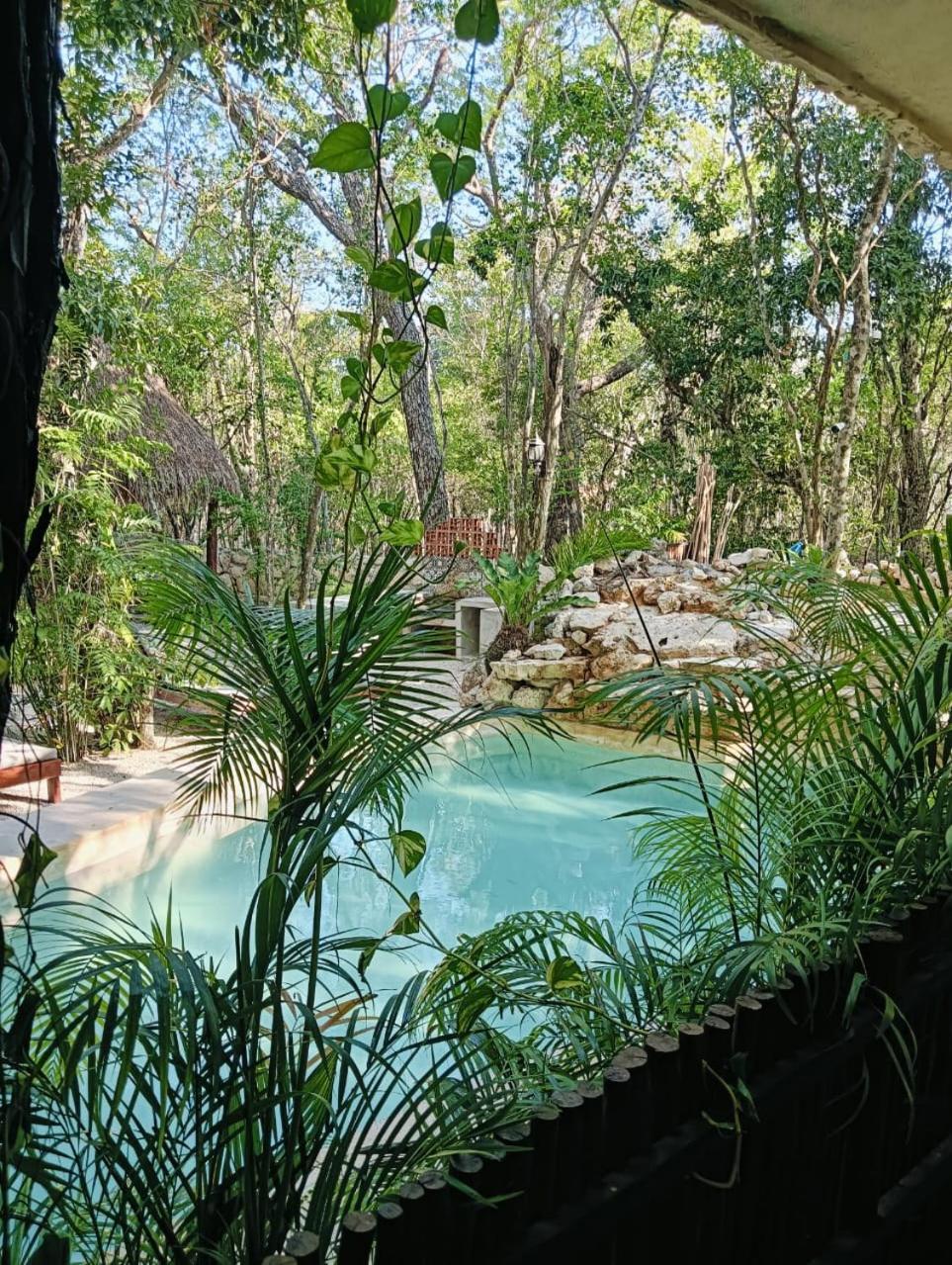Apartamento Agua & Selva Luxury Jungle Loft