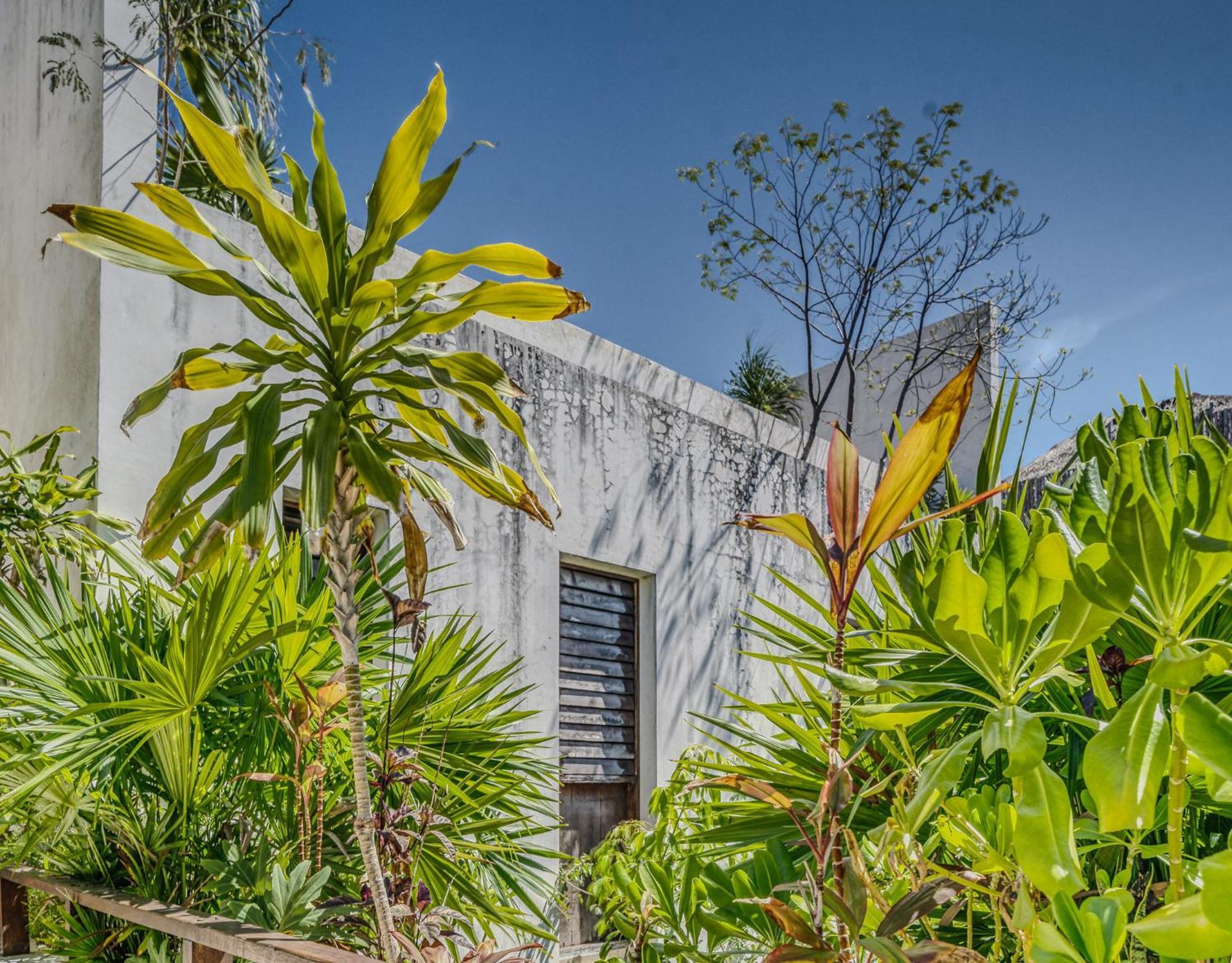Exclusive 1br In Jungle Private Pool Tulum