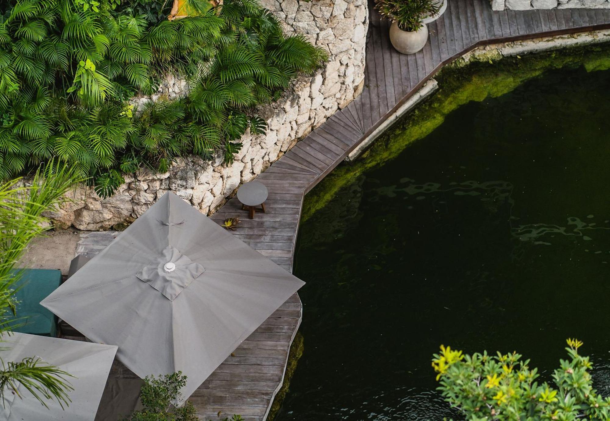 Amazing 1br Swim Up Cenote Gym * Tulum