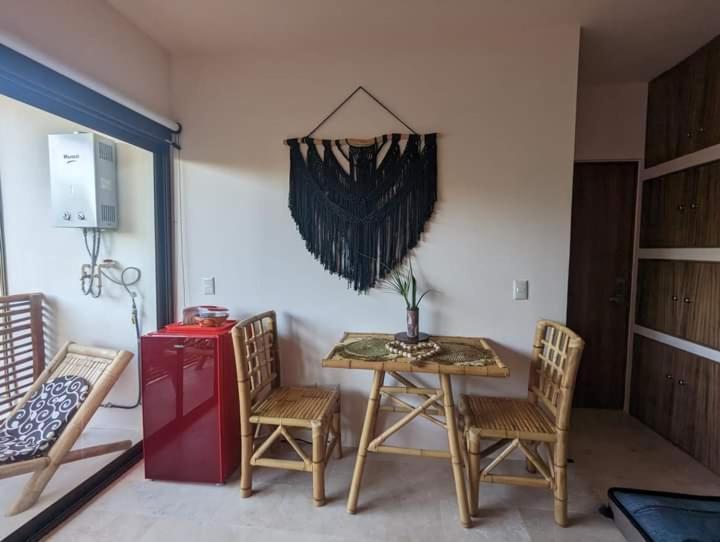 Avec Piscines Et Cenotes Naturelles Apartamento