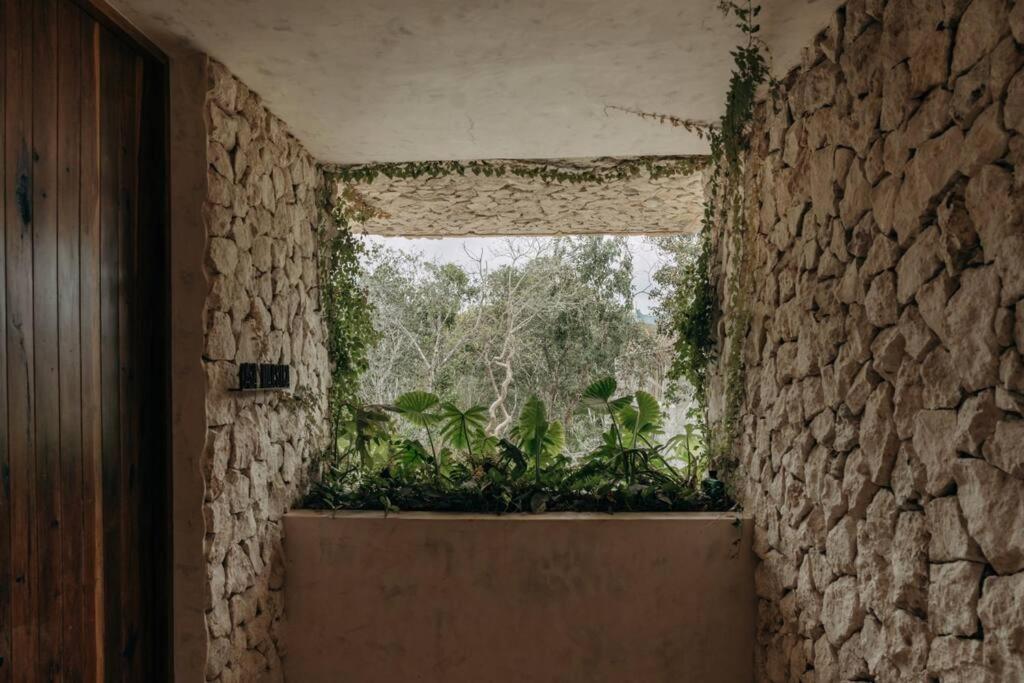 Casa Zebrina Designer *