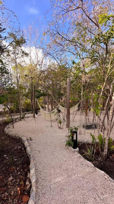 Discover, Explore Y Enjoy * Tulum