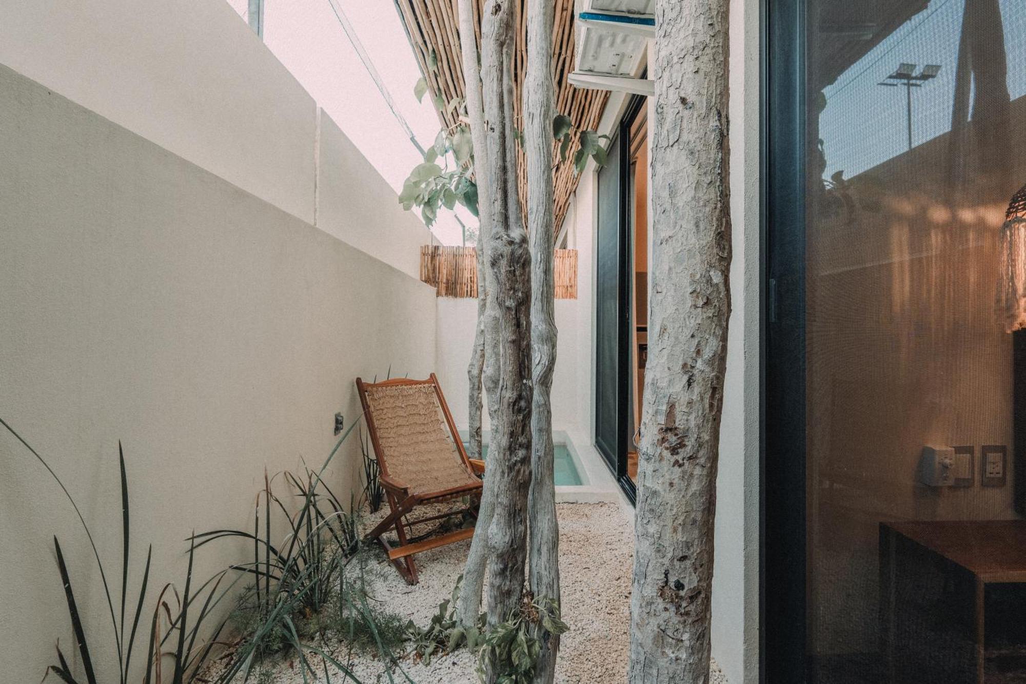 Departamento Con Piscina Privada! * Tulum