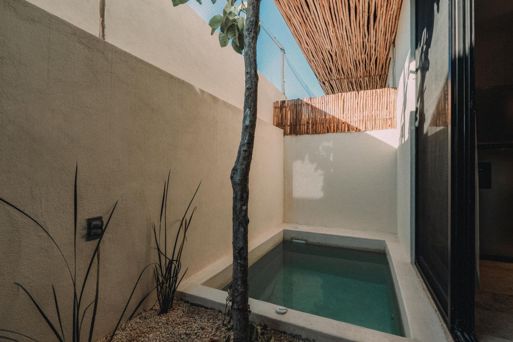 Departamento Con Piscina Privada! Apartamento Tulum