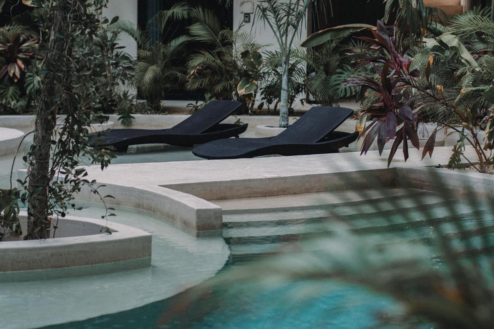 Apartamento Departamento Con Piscina Privada! Tulum
