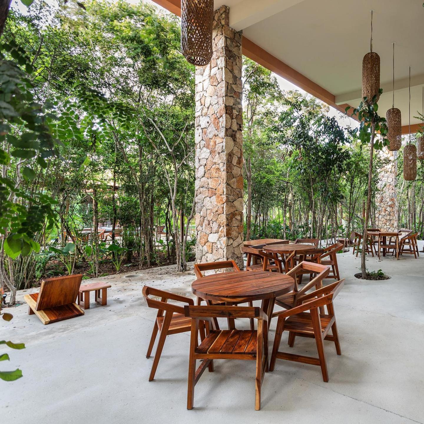 Estudio Completo En La Selva Apartamento