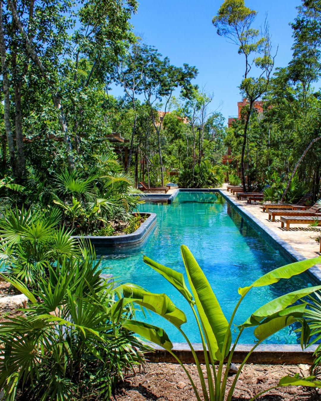 Estudio Completo En La Selva Tulum