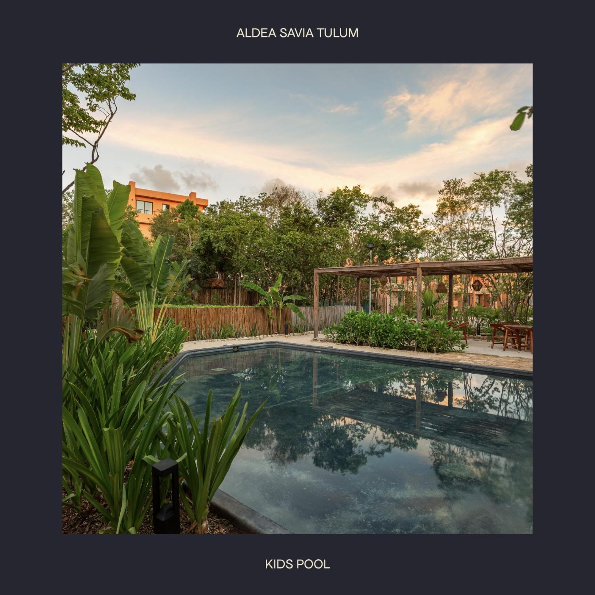 Estudio Completo En La Selva * Tulum