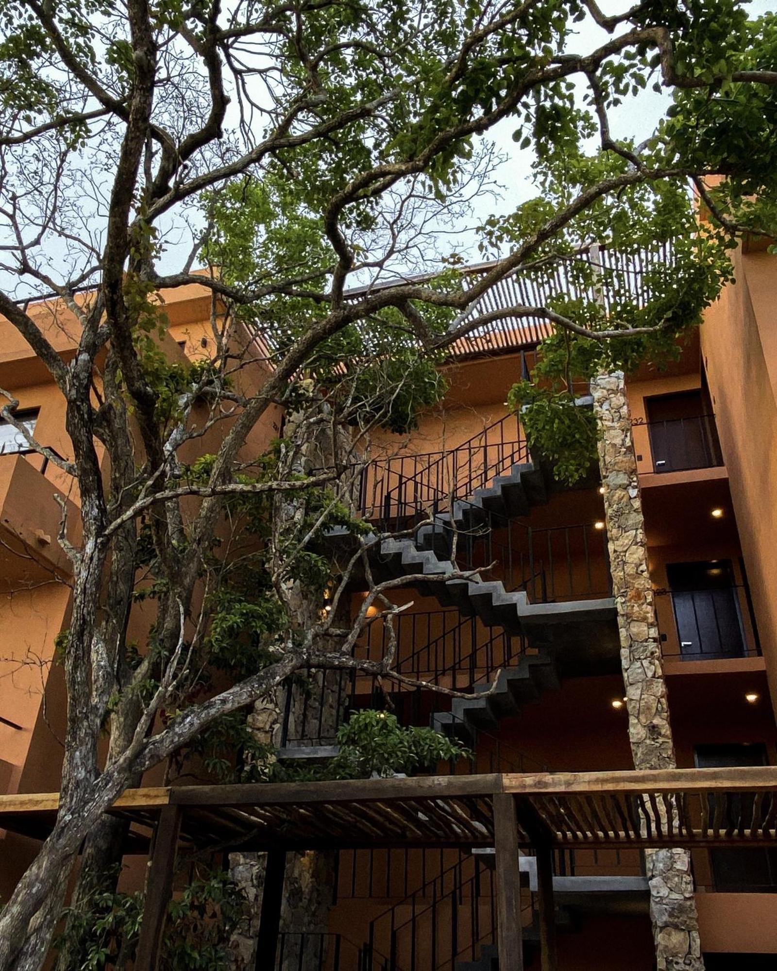 Estudio Completo En La Selva *