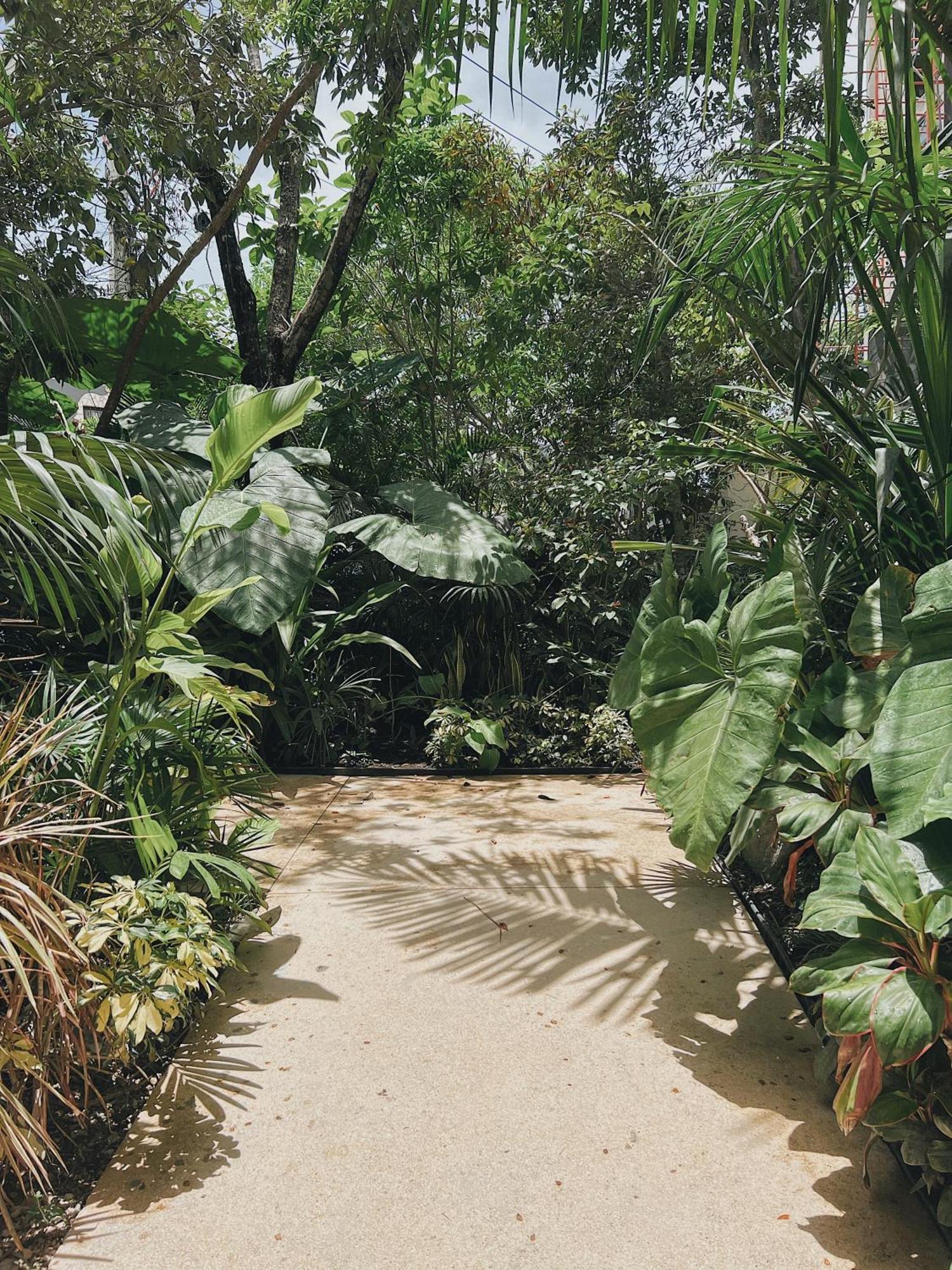 Luxury For Family Tulum