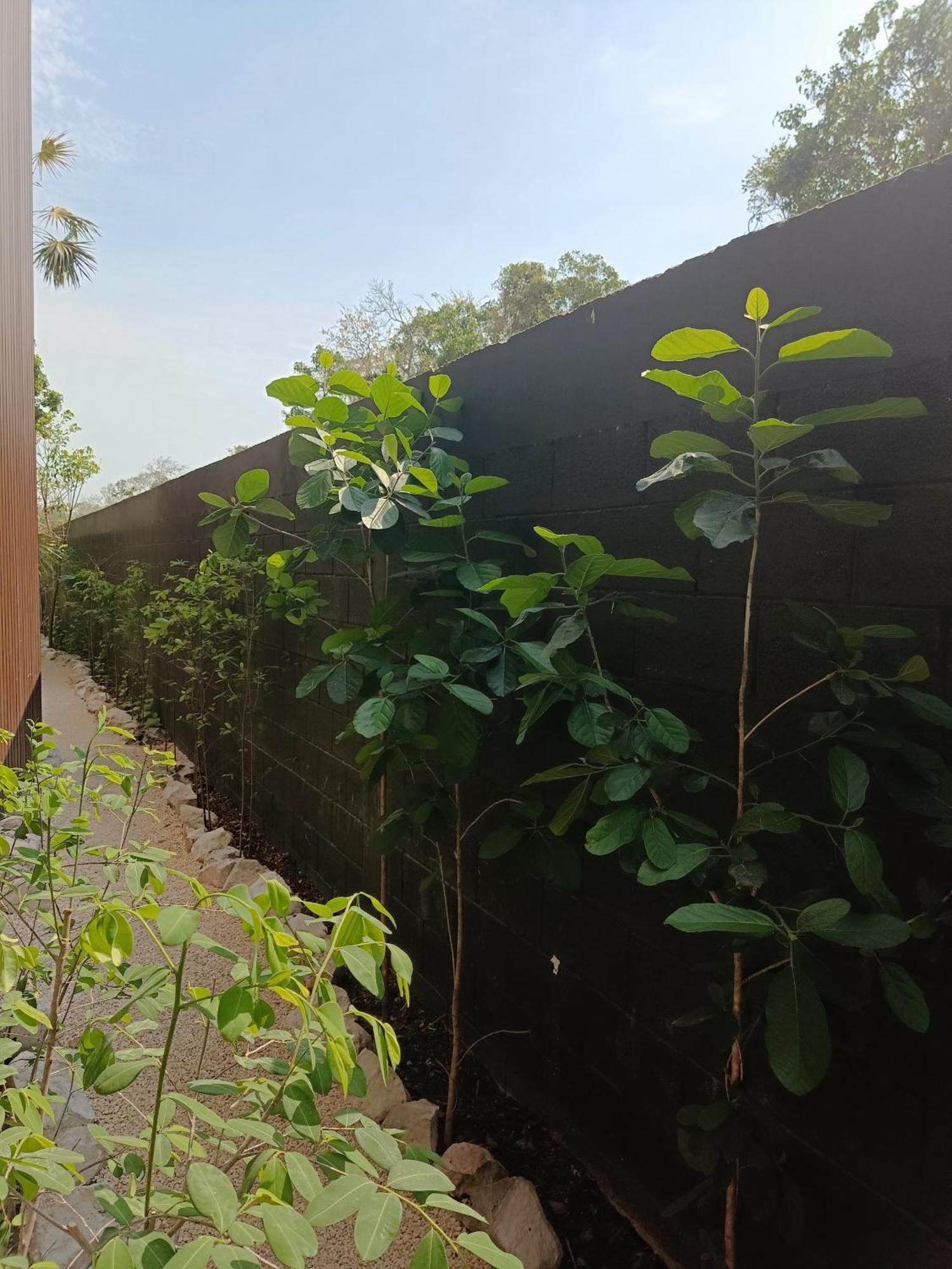 Departamento De 1 Hab Con Balcon En Zona Hotelera Ad * Tulum