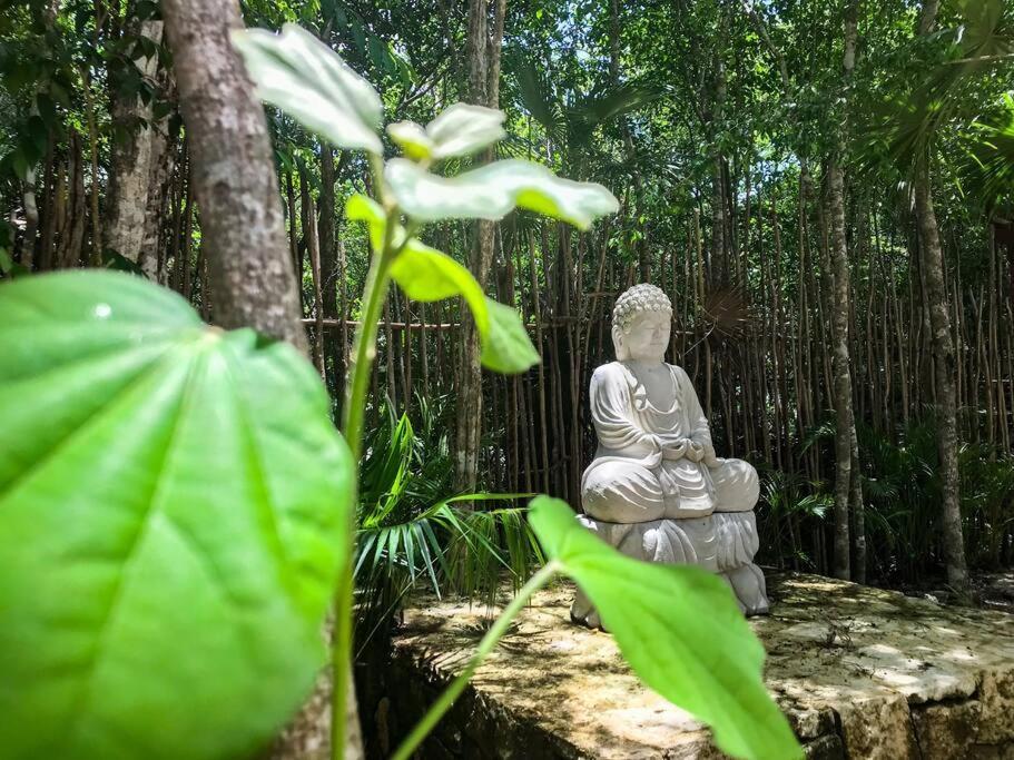 Designer Penthouse - Jungle Views, Bike To Apartamento Tulum
