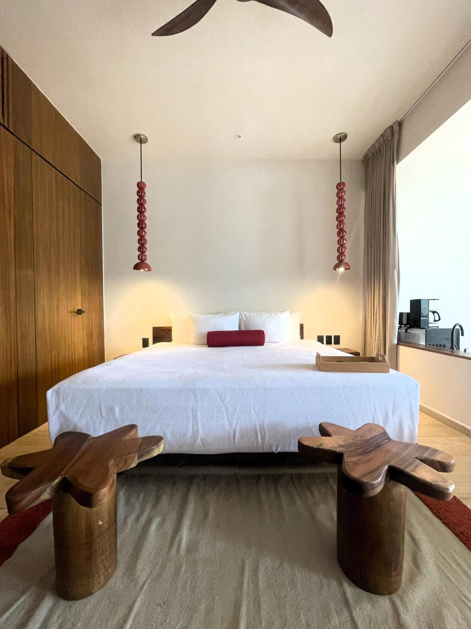 Apartamento Departamento Mexico Contemporaneo
