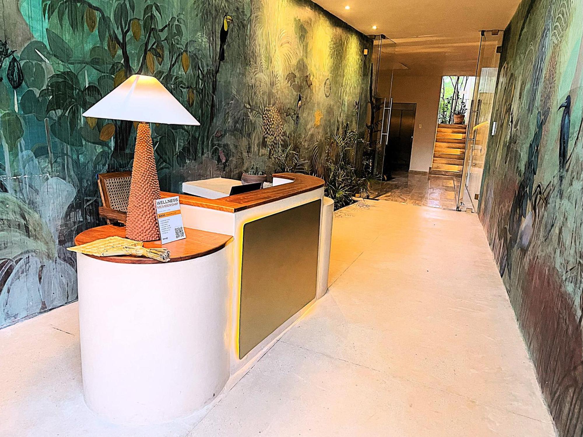 Apartamento Departamento Mexico Contemporaneo *