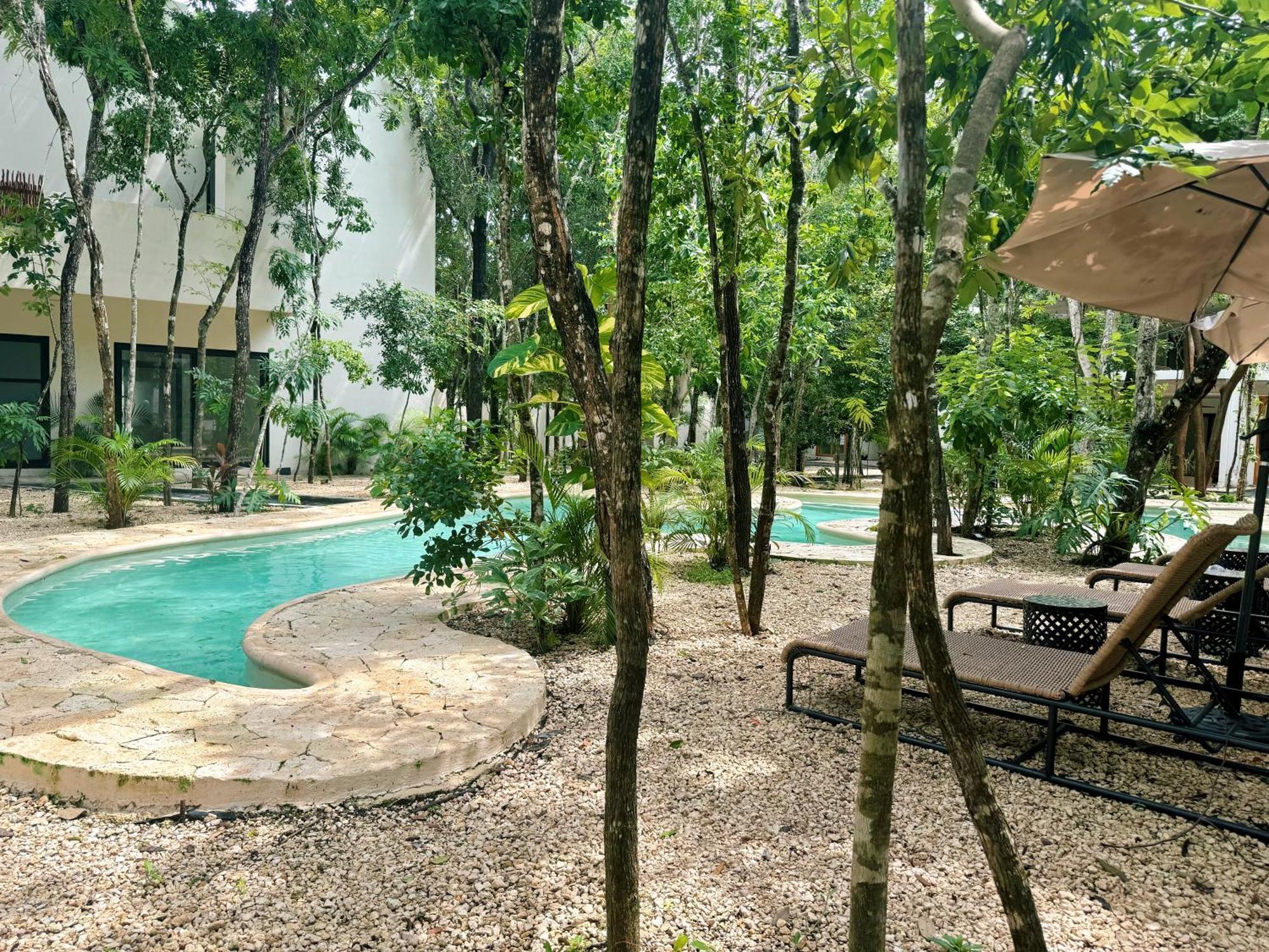Jungle 10 Mins To Beaches Y Trendy Hotspots Apartamento