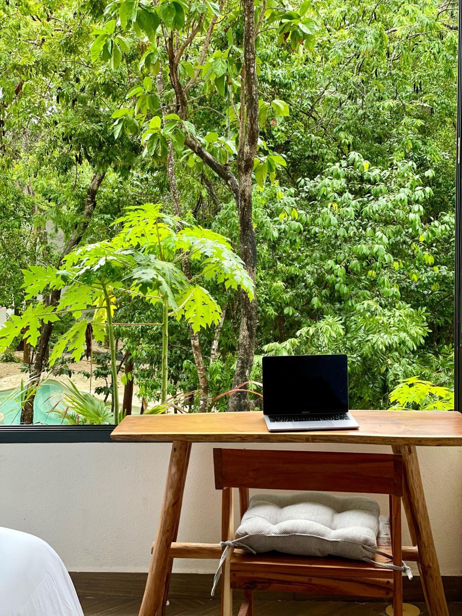 Apartamento Jungle 10 Mins To Beaches Y Trendy Hotspots