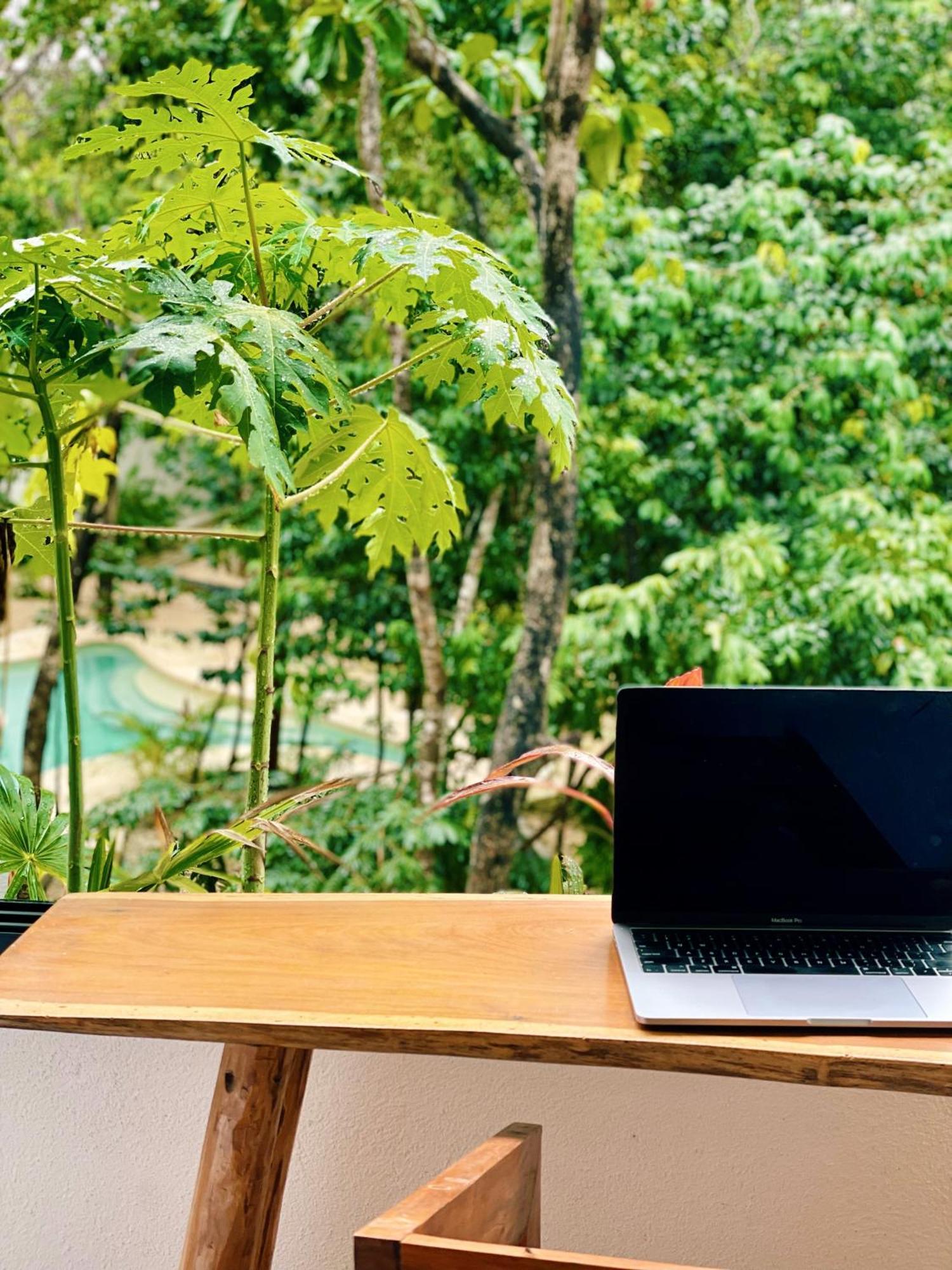 Jungle 10 Mins To Beaches Y Trendy Hotspots Apartamento *