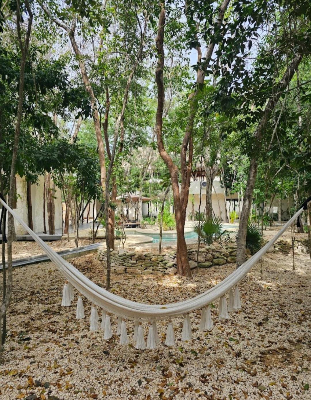 Region 15, Proche Et Centre, Au Coeur De La Jungle Avec Piscine, Gym, Mini Golf , Tamazcal, Coworking, Zone De Hamac *