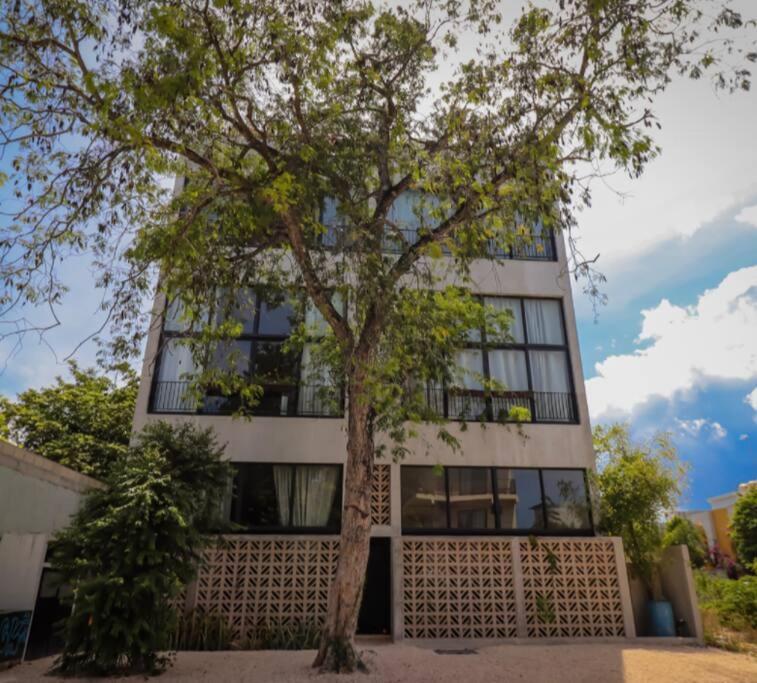 Apartamento 2 Bdr Stunning Designer Loft - Centro *