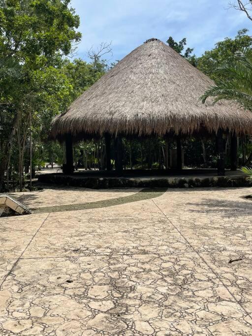 Apartamento Penthouse Cerca De La Playa