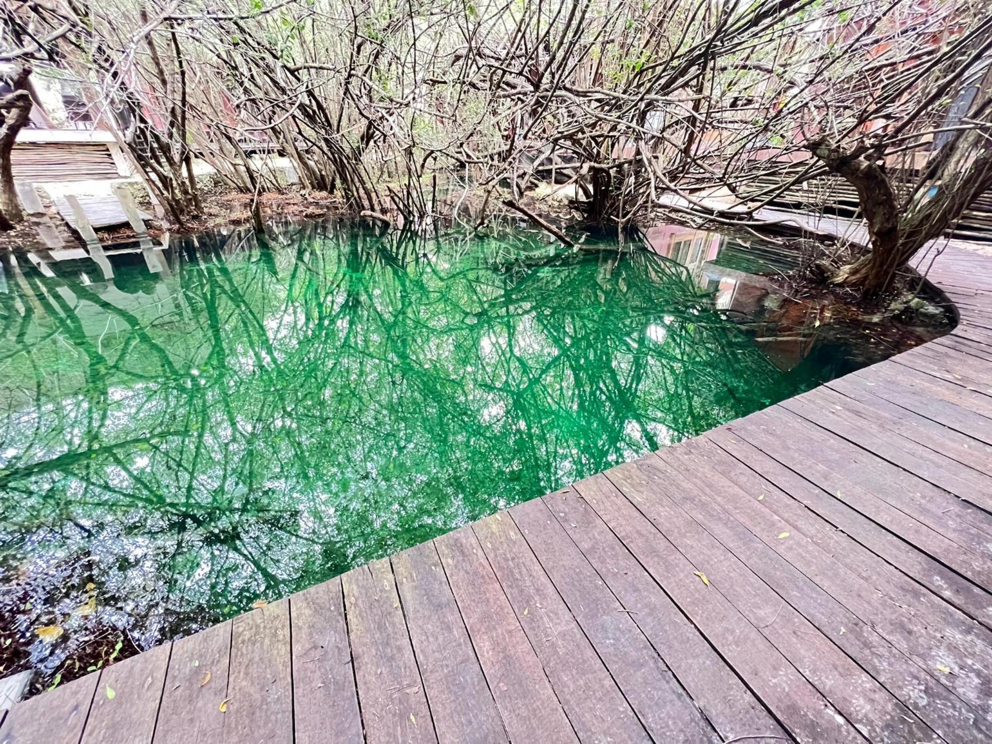 Hotel Caiman Habitat Beach, By Ahau Collection 5*