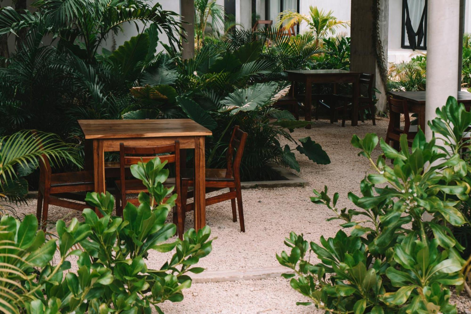 Apartamento Seremonia Selva By Dream Vacay Tulum